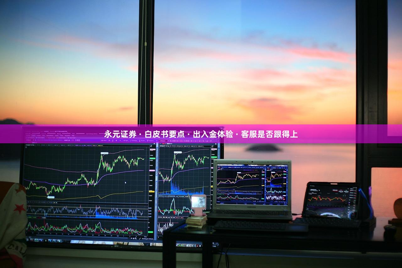 永元证券 · 白皮书要点 · 出入金体验 · 客服是否跟得上