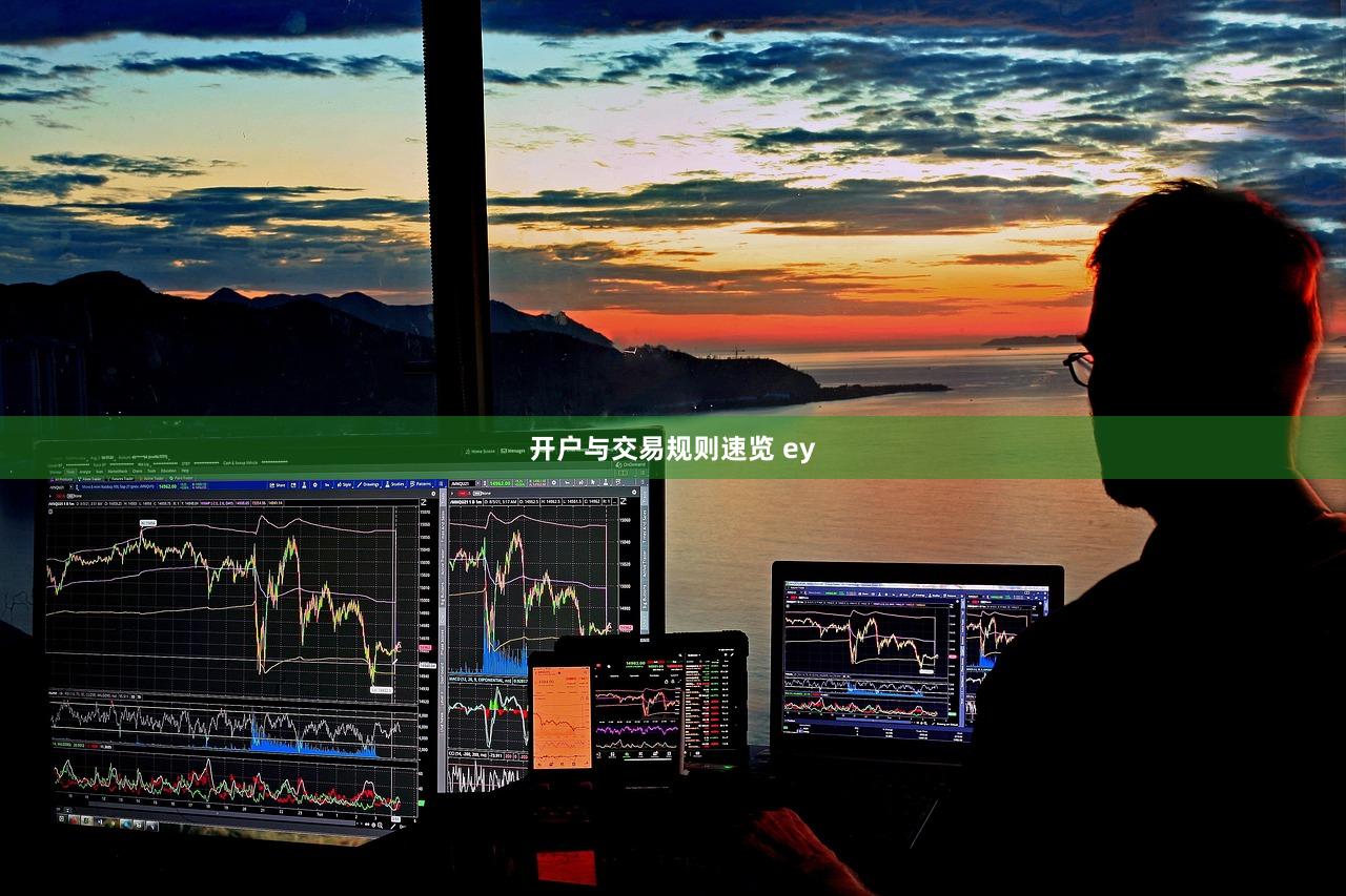 开户与交易规则速览 ey