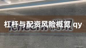 杠杆与配资风险概览 qy
