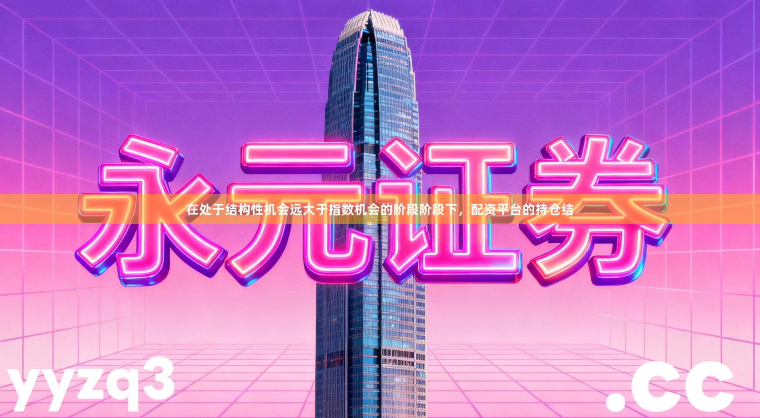 在处于结构性机会远大于指数机会的阶段阶段下，配资平台的持仓结